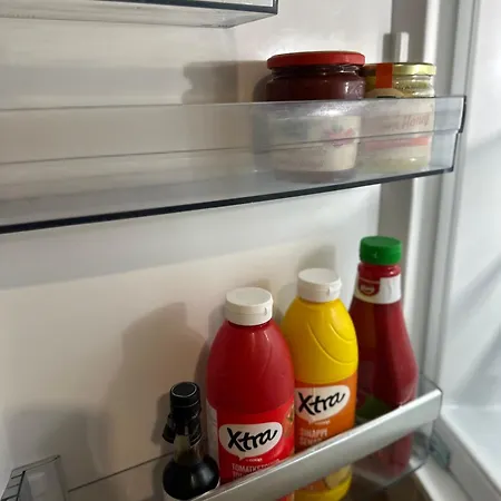 Brand New Surrounded By Forest