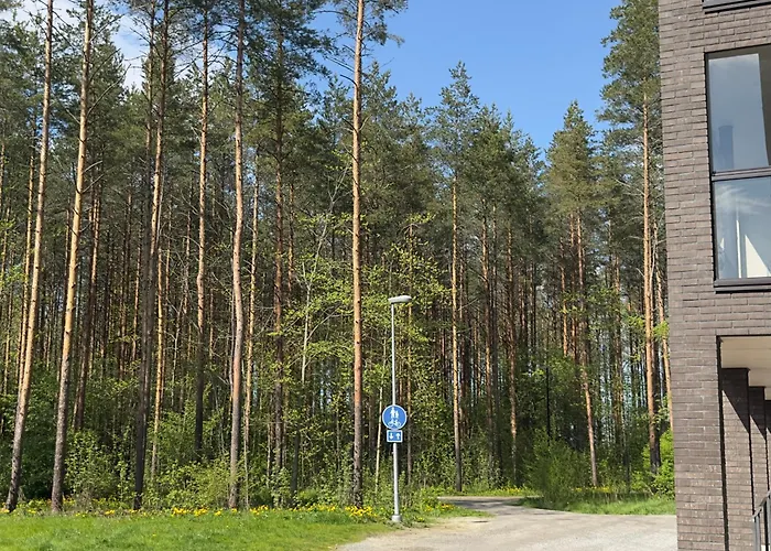 Brand New Surrounded By Forest *