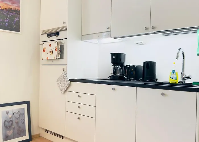 公寓 Brand New Surrounded By Forest 图尔库