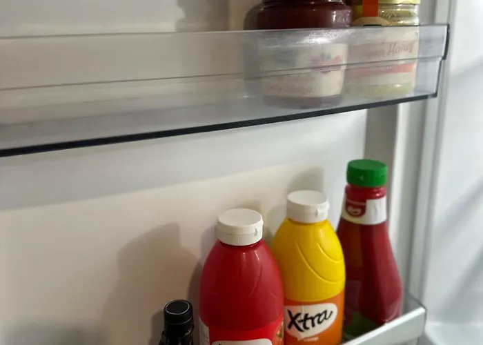 Brand New Surrounded By Forest